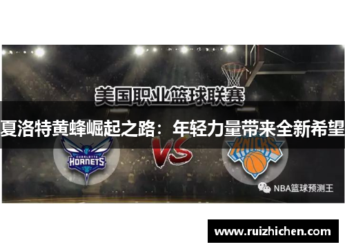 夏洛特黄蜂崛起之路:年轻力量带来全新希望 夏洛特黄蜂崛起之路:年轻力量带来全新希望